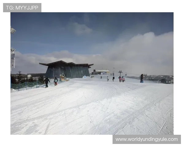云顶滑雪场官网用户评论与滑雪体验分享汇总