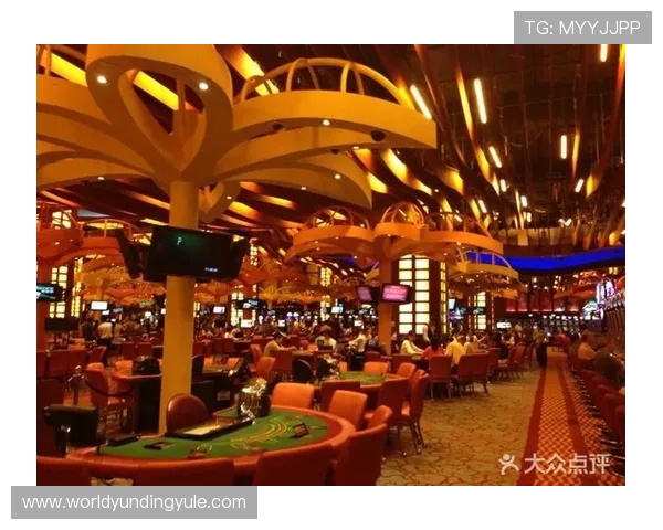 云顶赌场赢钱必备的策略指南帮助玩家实现持续盈利目标