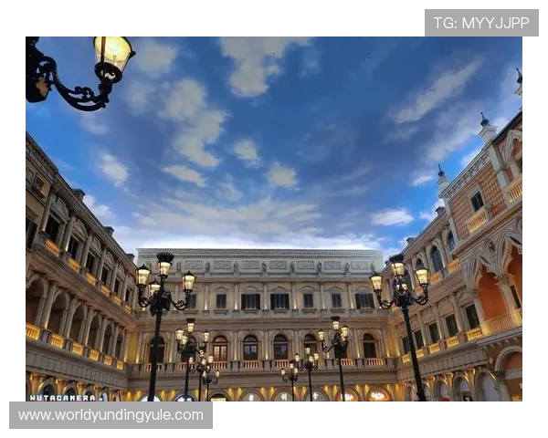 新云顶国际集团(澳门)有限公司在澳门博彩行业中的地位与影响力详解，探索其成功背后的核心竞争力