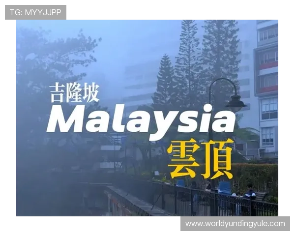 马来西亚云顶是谁的公司背景与投资者分析