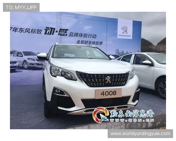 云顶国际4008服务平台用户体验优化策略提升平台交互设计与操作便捷性